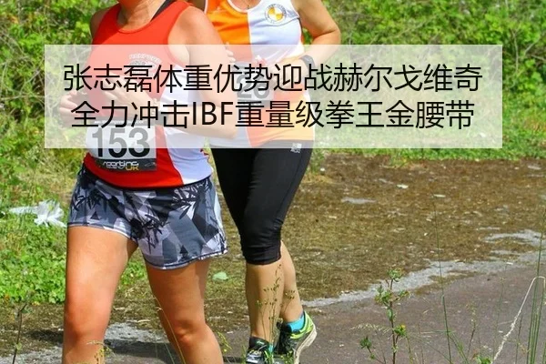 张志磊体重优势迎战赫尔戈维奇 全力冲击IBF重量级拳王金腰带